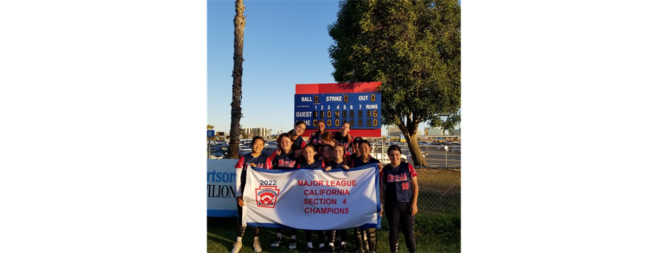 Softball 12s Section 4 Champs!